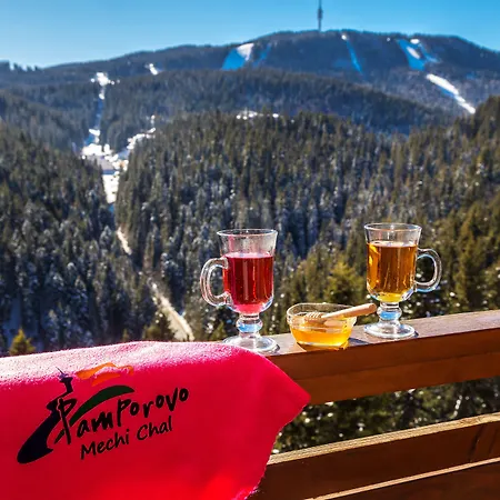 Orlovetz Hotel Pamporovo
